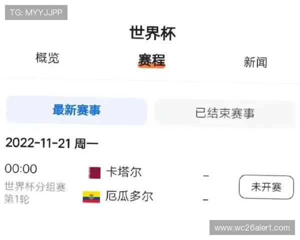 1998世界杯：东道主法国队的准备工作与赛场表现分析