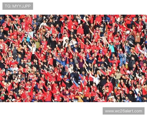 2006年世界杯足球文化与各国球迷热情互动场景