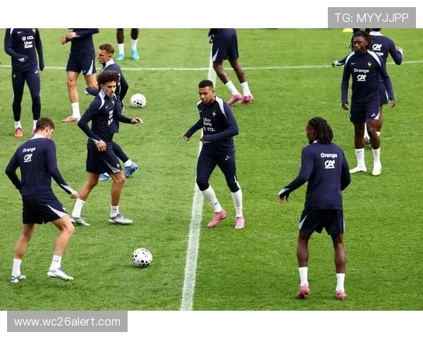 德国世界杯巴西对法国比赛中的战术布置与教练策略，揭秘两队的战术思路与调整